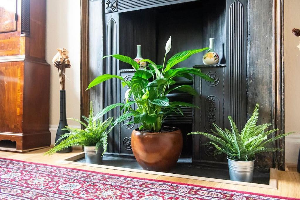 דירות אדינבורו Charm & Character On Historic Rose Street מראה חיצוני תמונה